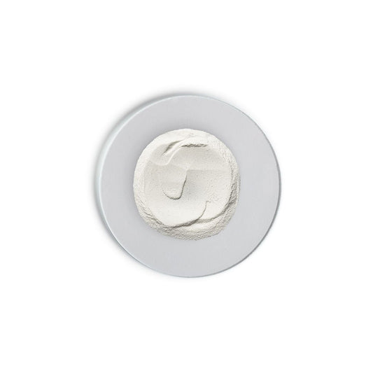 Skin Regimen Lx Enzyme Exfoliator