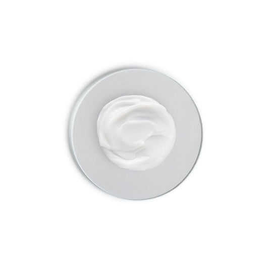 Skin Regimen Lx Night Renewal Cream