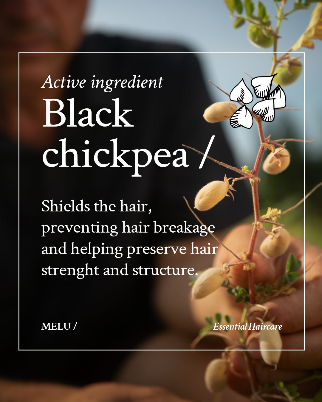 MELU Shampoo
