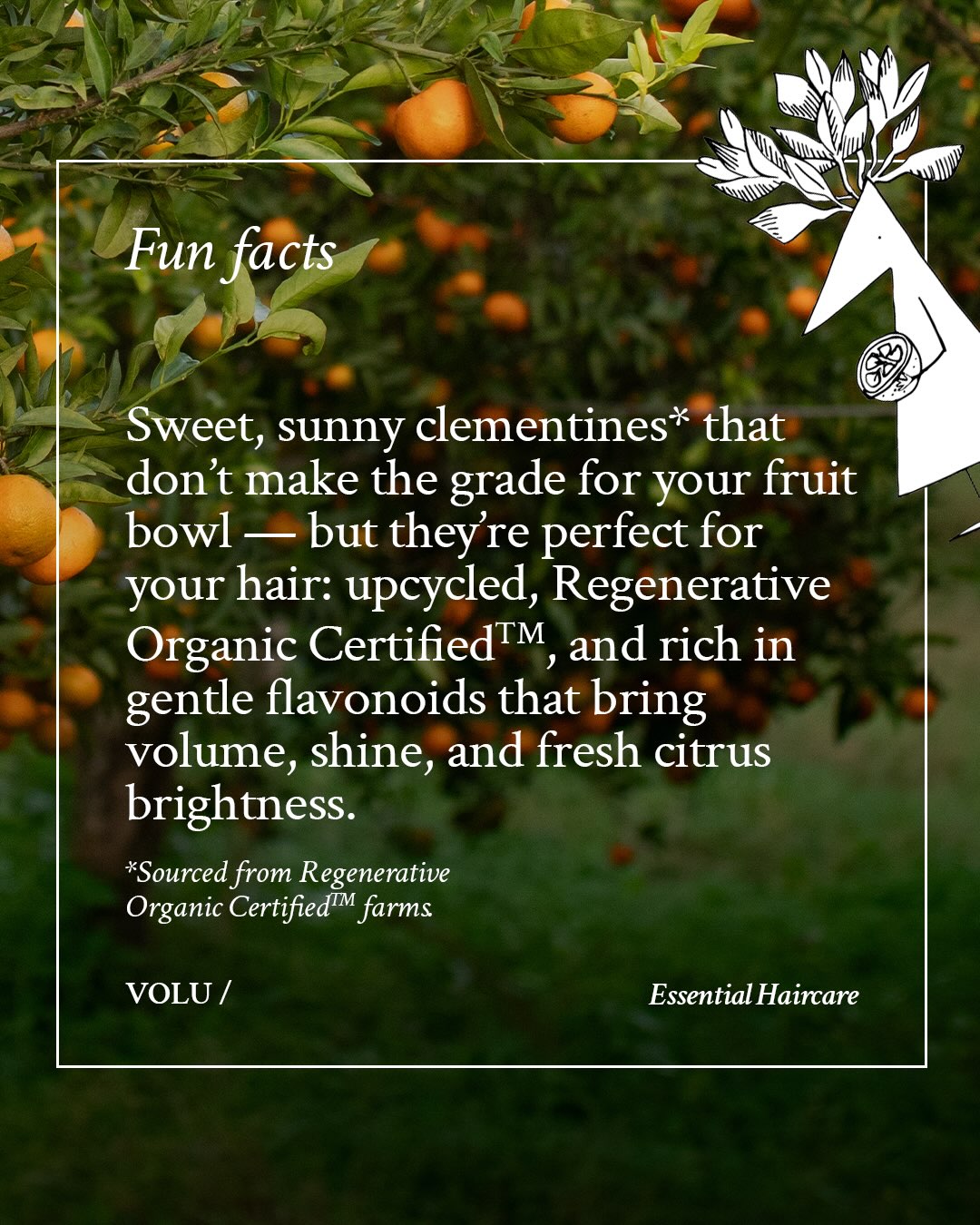 VOLU Hair Mist