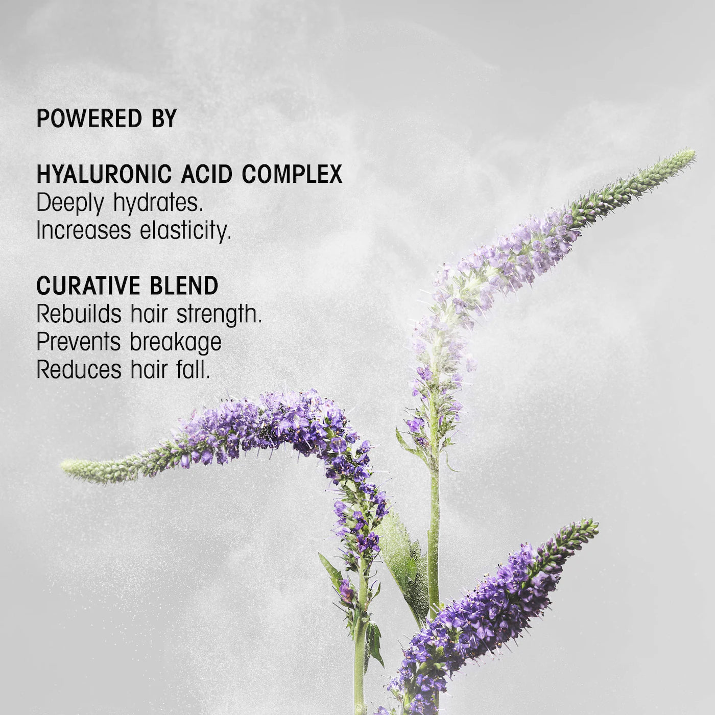 Hair Alchemy Resilience Shampoo
