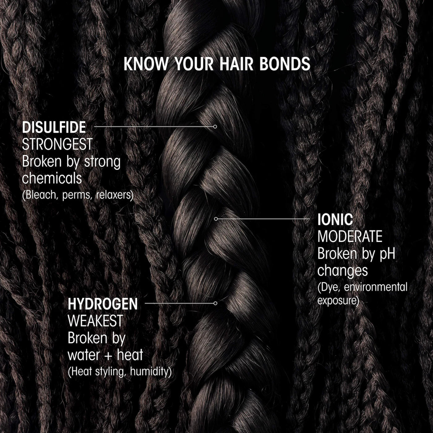 Hair Alchemy Bond-Building Elixir