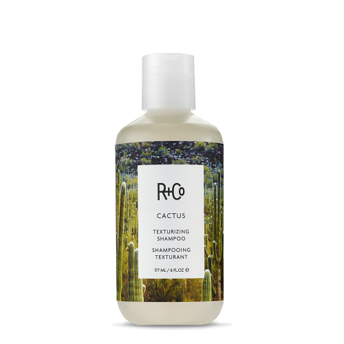 R+CO CACTUS Texturizing Shampoo